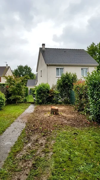 Abattage d'arbre Saint-Brieuc